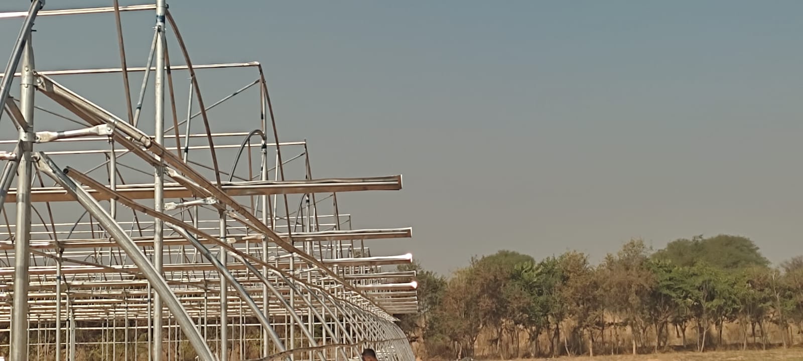 Greenhouse Project 37